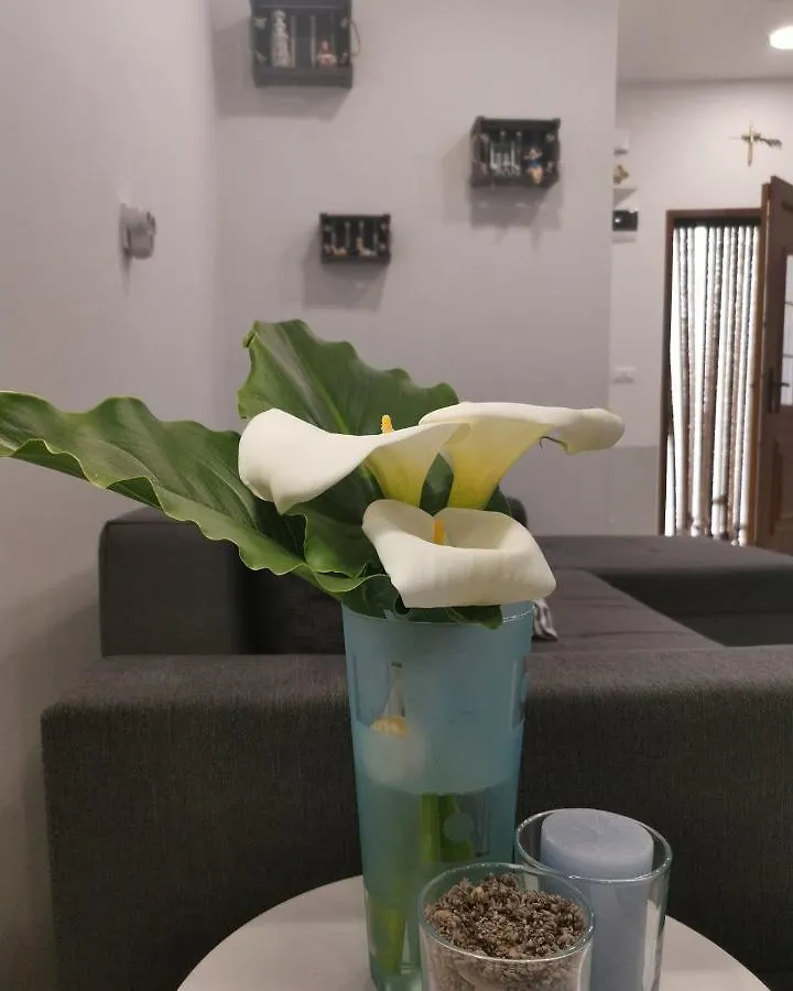 Apartman Stella Maris 木洛希尼